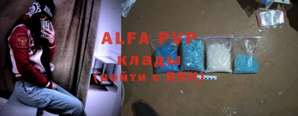 гашик Арсеньев