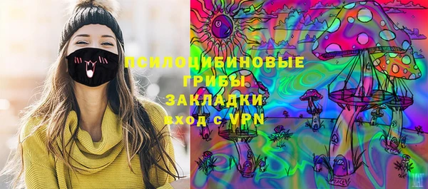 гашик Арсеньев
