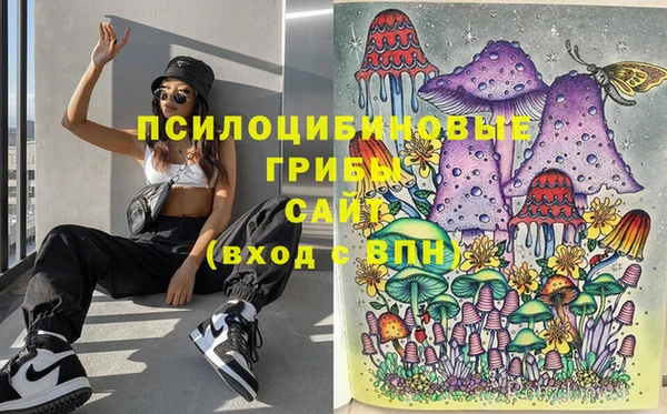спиды Алексин