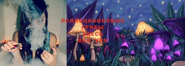 spice Алексеевка