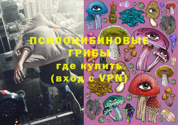 гашик Арсеньев