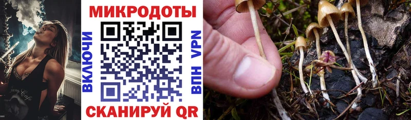 Псилоцибиновые грибы GOLDEN TEACHER  Краснослободск 